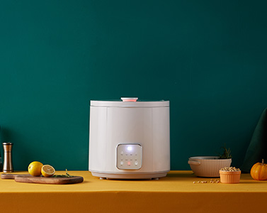 STY06E他說果蔬清洗機(jī) 食材凈化機(jī)