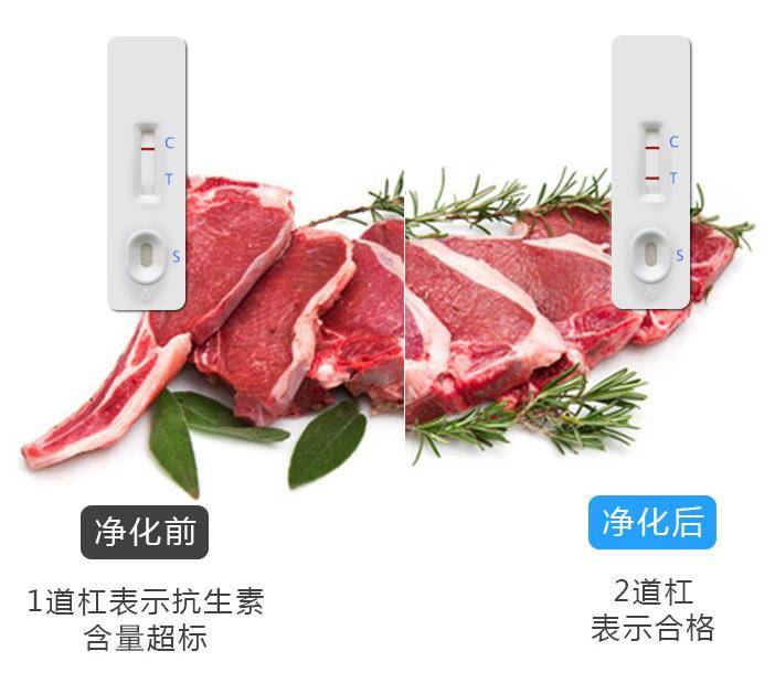肉類凈化效果對比